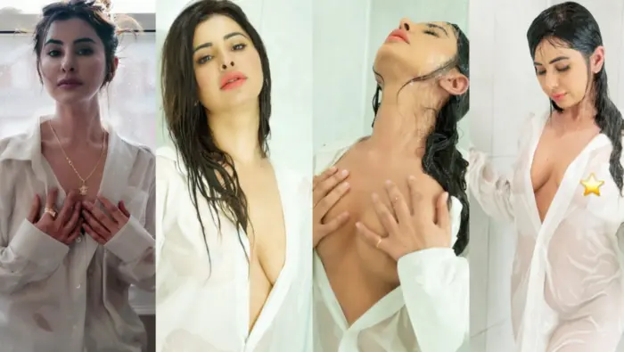 Punjabi Girl Meetii Kalher 5 BG BBC Sextapes